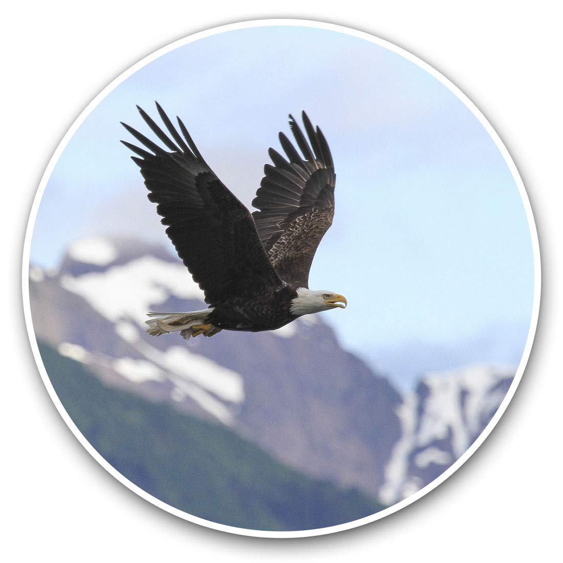 Vinyl Stickers (Set of 2) 7.5cm - Bald Eagle Bird America USA #14245