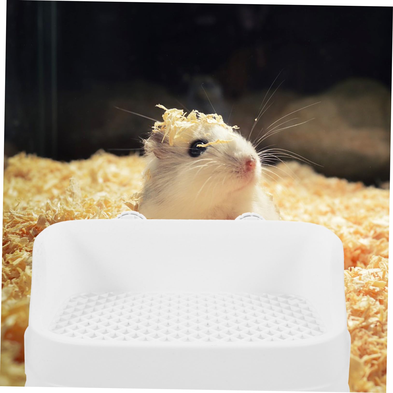 UPKOCH Bac à Litière pour Lapin et Petits Animaux Plastique Toilette Cage Intérieure Litière Amovible Entrée Basse pour Cochon Hamster et Chinchilla