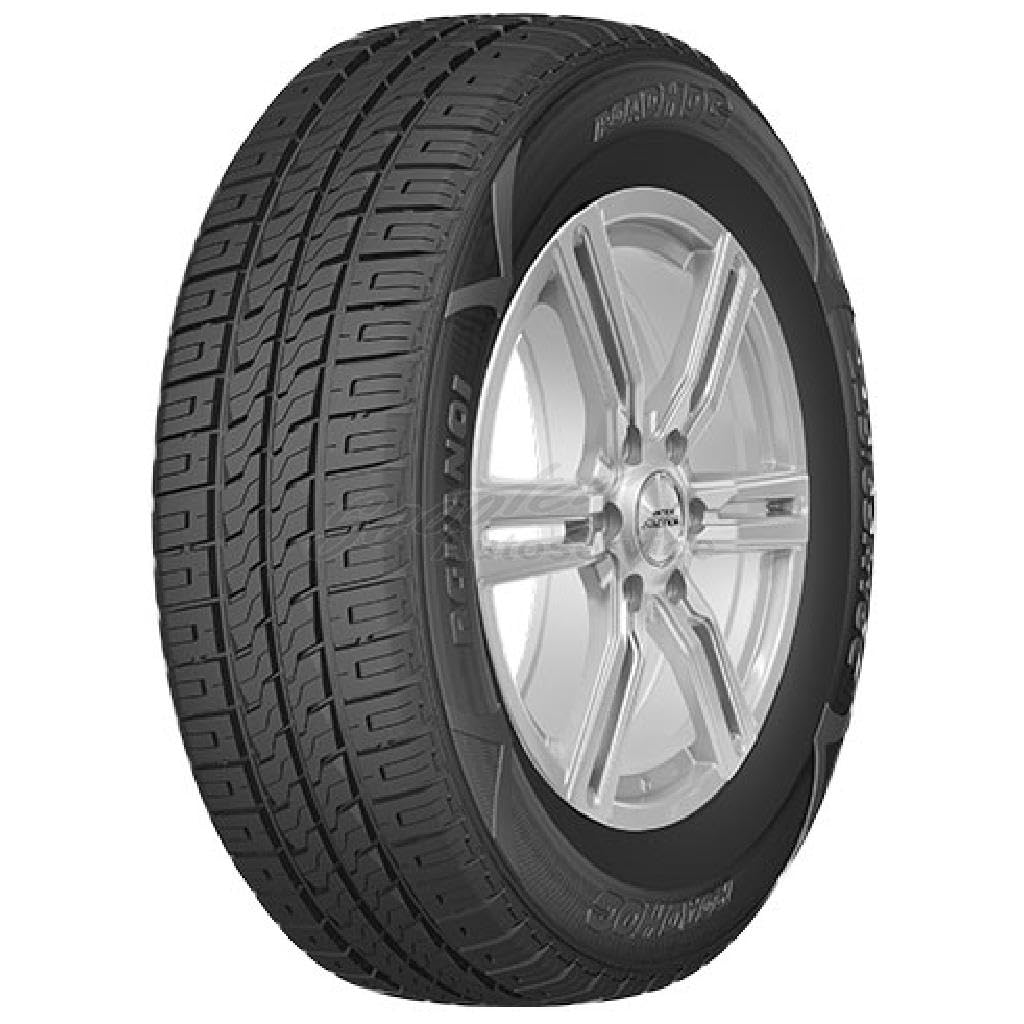 Gomme Roadhog Rg van 01 215 65 R16C 109/107T TL Estivi per Furgoncini