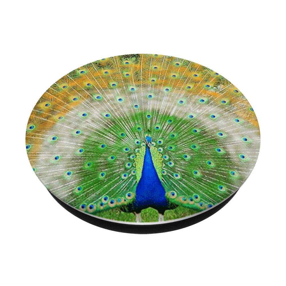 Amazon.com: Pretty Peacock Feather Pattern Green Plume Zx : Cell