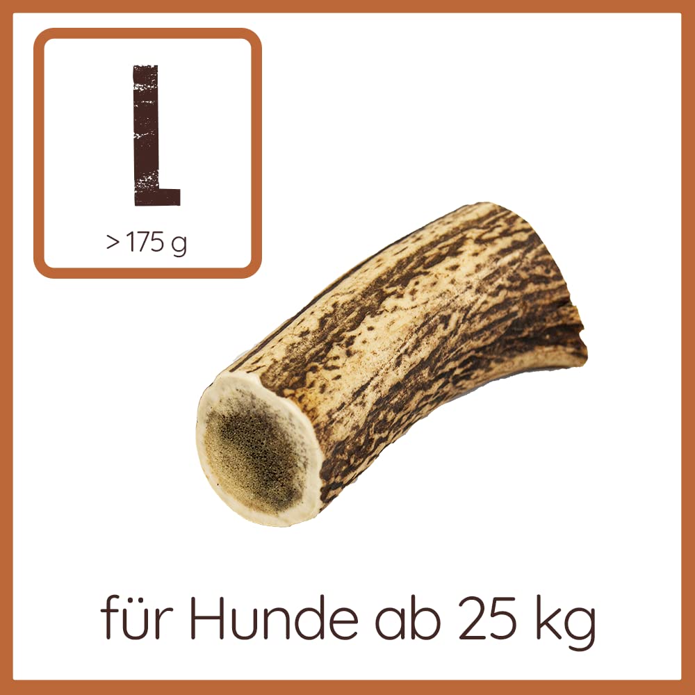 Wildfang® Rothirsch-Geweih Kauspielzeug – Hundespielzeug mit Lachs-Hirschgeweih, Zahnpflege für Hunde ohne Zusätze, natürliche Hirschgeweih Geweihe, ideal als Kauknochen Hund über 25 kg – 3er Pack
