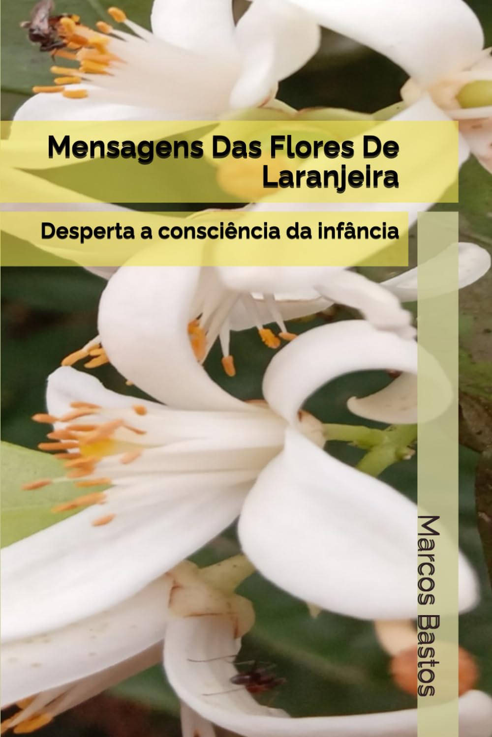 Mensagens Das Flores De Laranjeira: Desperta a consciência da infância