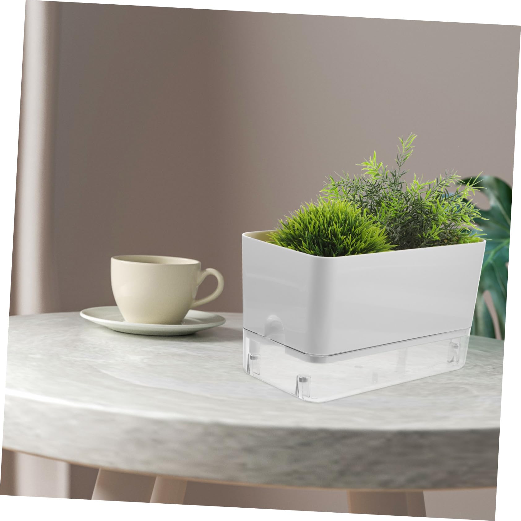 2 Stück Selbstbewässernde Orchideentöpfe Transparent Großformat mit Baumwollseil Bewässerungssystem für Zimmerpflanzen und Sukkulenten