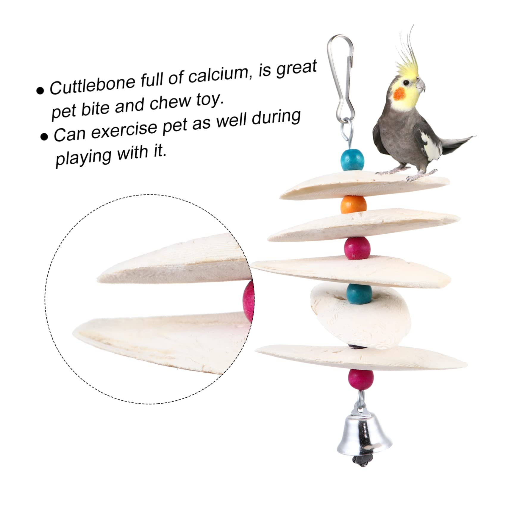 Mipcase 4pièces Casse-croûte De Seiche pour Oiseaux De Compagnie Jouet à Mâcher pour Perroquets Et Molaires Accessoire pour Perruche Ondulée Et Conures Couleur Aléatoire