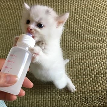 TİNEKE Kitten Dog Bottle 50 ml (1 Piece) with 2 Pacifiers