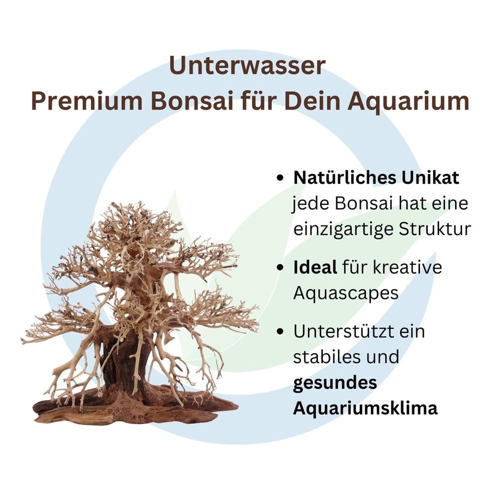 AquaOne Aquarium Premium Bonsai Baum L Bonsai Baum Wurzel Oriental Holz 30x15x30 cm I Aquascaping Dekoration I Natur Unikat Bonsaibaum I Landschaft Deko Unterwasserlandschaft