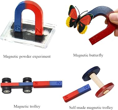 Labs Junior Science Magnetism Set for Experiment Education, Science Magnet Experiments for Kids Teen Including Bar/Horseshoe/Ring Magnets/Compass