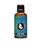 Eternal Essence Oils Blue Sage 30ml Premium Fragrance Oil - for Candle, Soap Making, Aromatherapy, Diffusers, Home Care, & Humidifiers