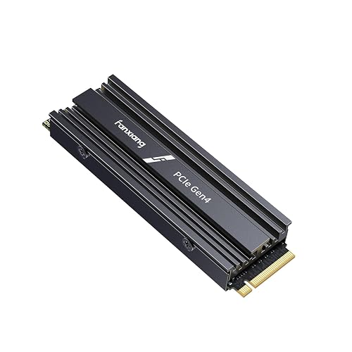 fanxiang 1TB NVMe SSD for PS5 with Heatsink