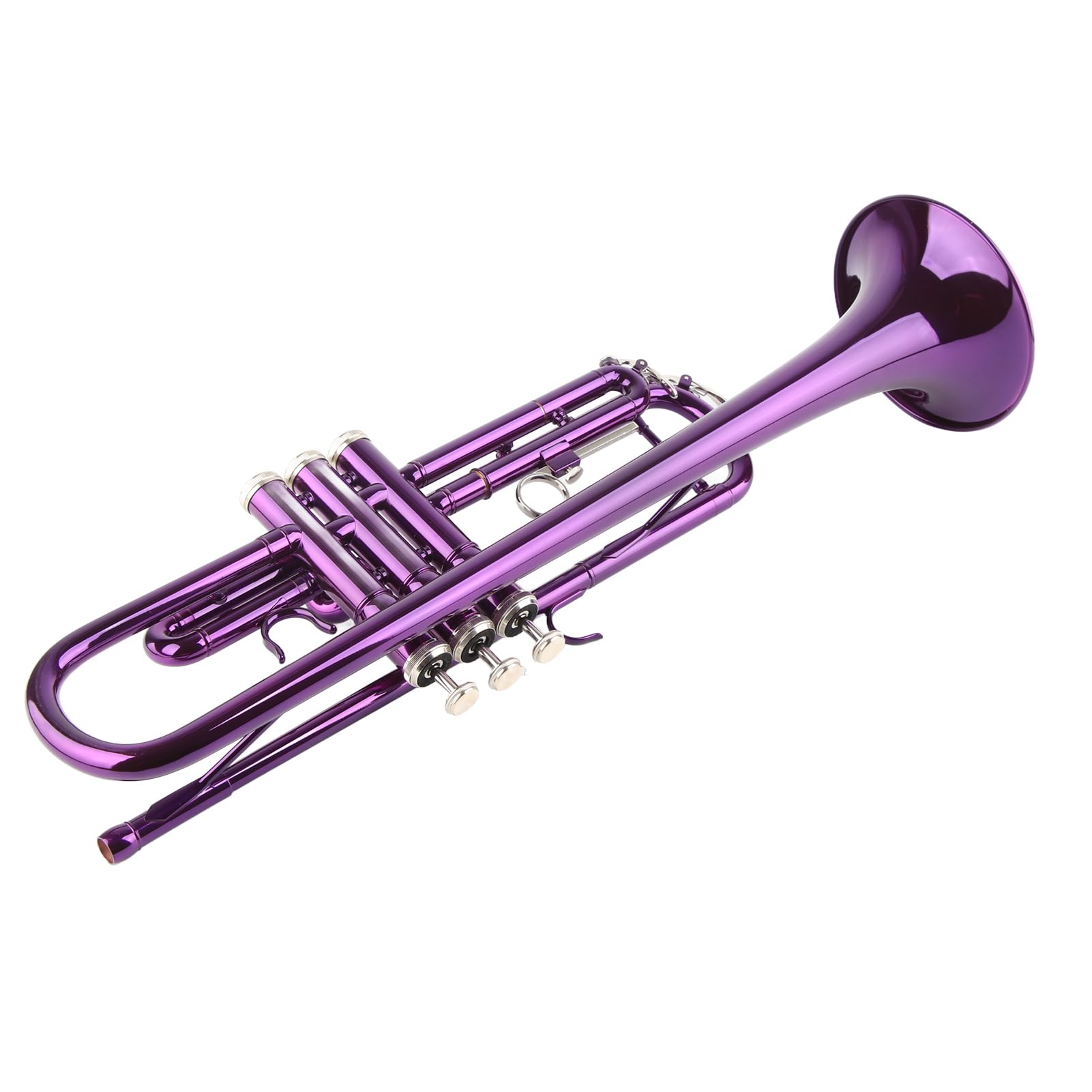 Aramox B-Trompeten-Set für Anfänger mit Koffer, Professionelles Blechblasinstrument mit Zubehör für Studenten und Blaskapelle (PURPLE)