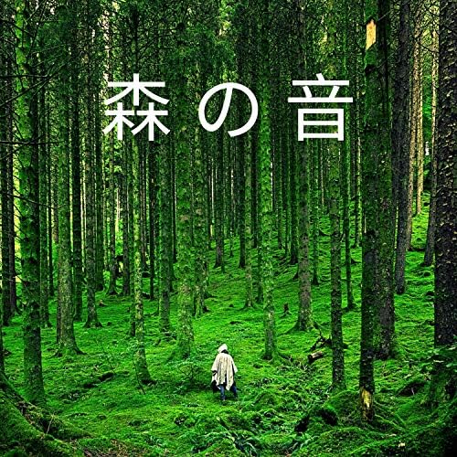 Amazon MusicでRW 落ち着いた自然の音の森 の 音 – 自然の音、鳥
