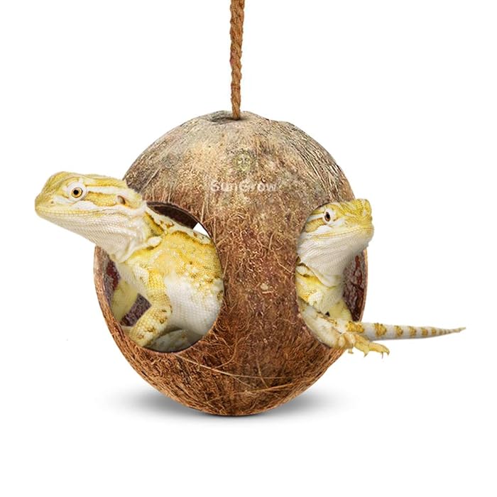 Buy SunGrow 3Hole Leopard Gecko Coconut Hides and Caves, Reptile
