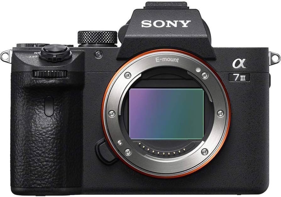 ＊muku＊　SONY α7iii ボディ Amazon.com : Sony Alpha a7 III Mirrorless Digital Camera (Body