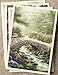 DaySpring Birthday Boxed Cards - Thomas Kinkade - Painter of Light 12 Ct. with KJV Scriptures (86068)