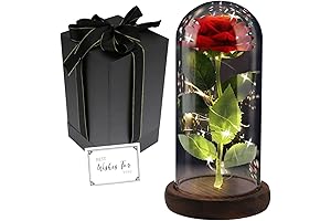 Everlasting Red Galaxy Rose in a Glass Dome