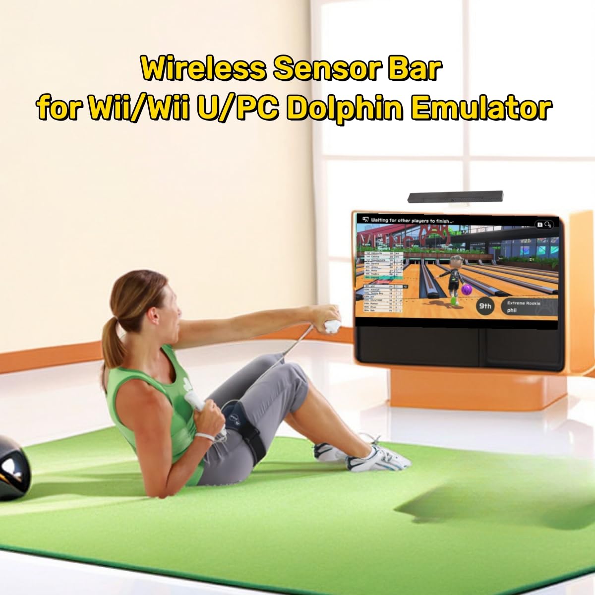 Dolphin Emulator Wii Remote Motion Sensor Wii Motion Sensor Bar