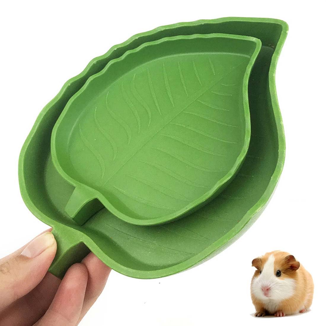 XPEX Paquete de 2 tazones de Agua para Alimentos con Forma de Hoja de Reptil, tazones de Comida Planos, tazones de alimentación para Reptiles