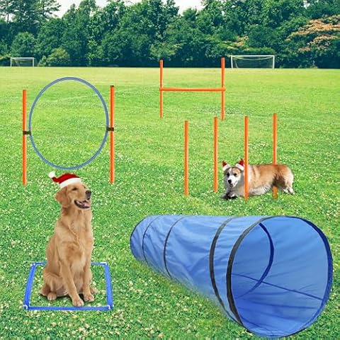 GeerDuo Dog Agility Training Equipment, Obstacle Agility Training Starter Kit for Doggie, Including Tunnel, 13 Weave Poles, Adjustable Hurdle, Jump Ring, Pause Box and Carrying Bag(Blue) Cover