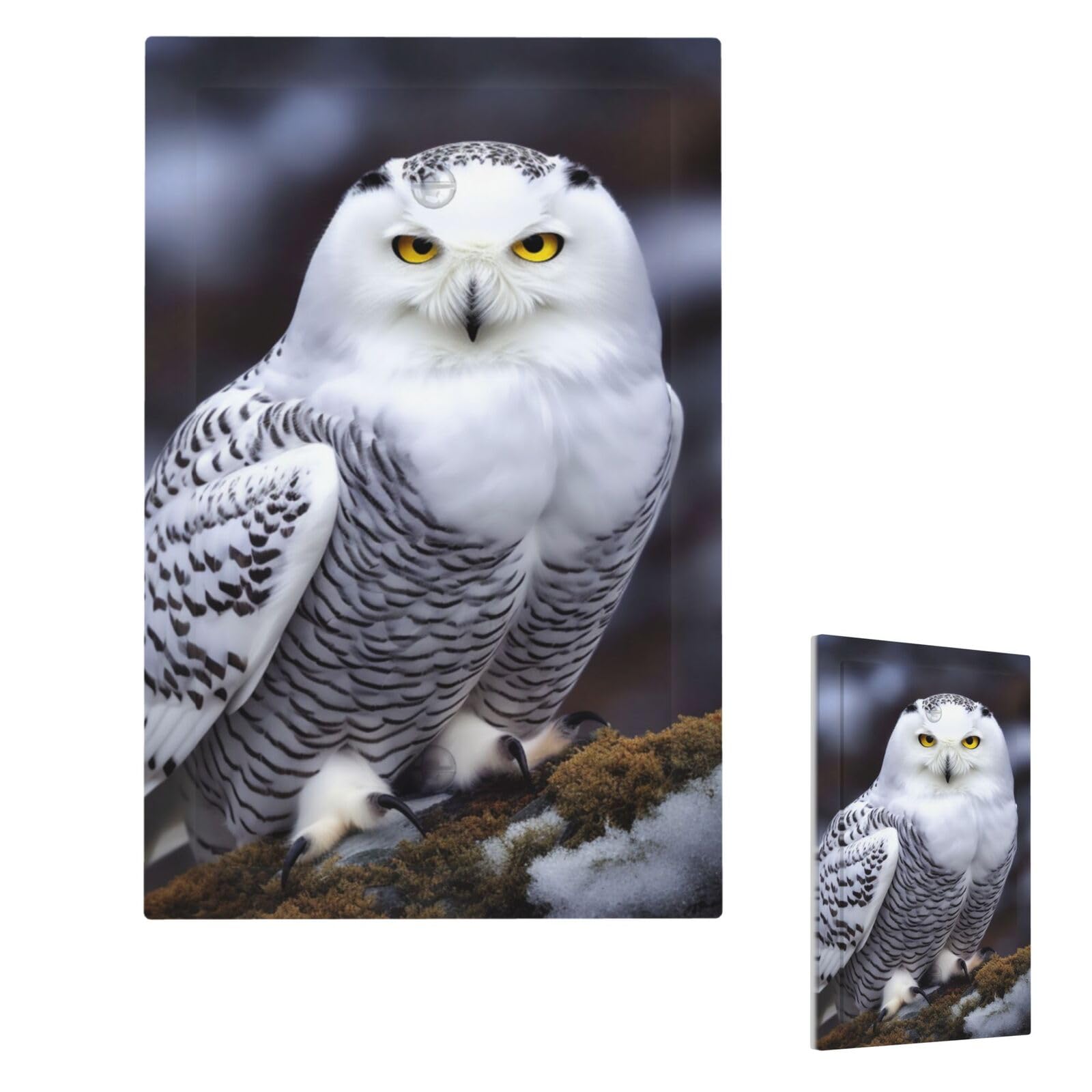 Fekiloot Single Blank Arctic Owl Wall Plate Cover Modern Decorative 1 Gang Light Switch Cover Unbreakable Receptacle Outlet Covers For Living Room Bedroom Home Decor