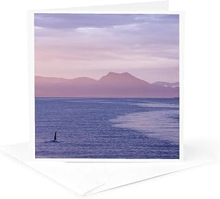 3dRose Greeting Card - USA, Alaska, Ketchikan. Orca whales at sunset - US02 BJA0229 - Jaynes Gallery - Whales
