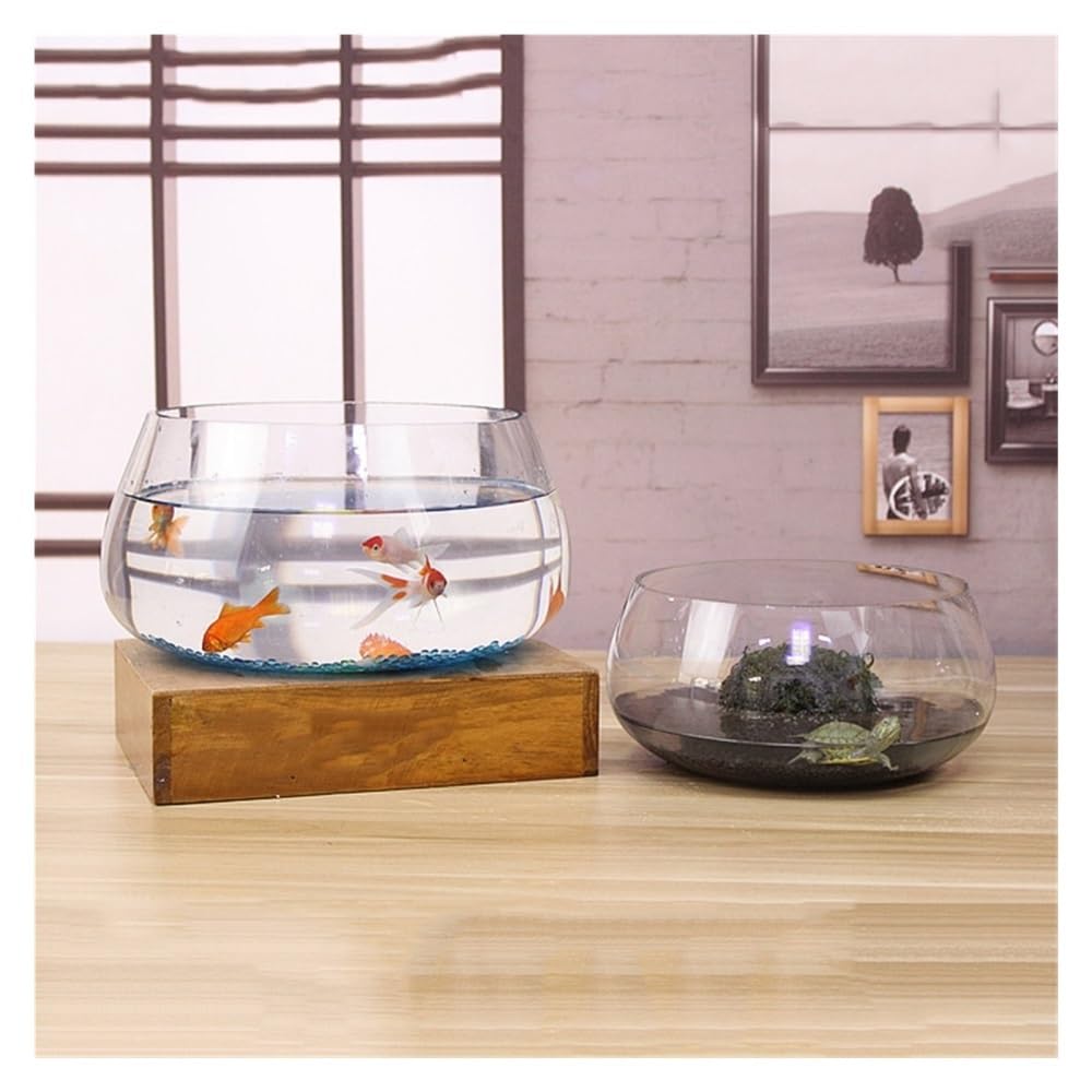 Aquarium Rundes, ökologisches, kleines, transparentes Aquarium aus Glas for Zuhause und den Schreibtisch – ideal for Bepflanzen.(25cm)