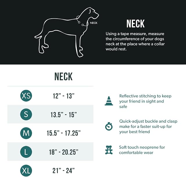 Foto 5 de 6 de EZYDOG Classic Neo Dog Collar - Collar para Perros pequeños, medianos y Grandes, Collar Reflectante…