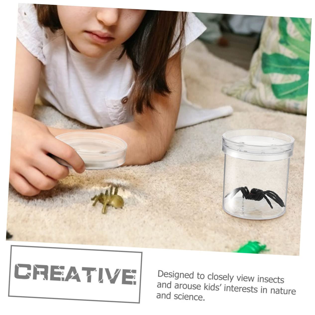 Caja de Observación de Insectos Portátil de Plástico 20 Piezas | Orificios de Renovación de Aire, para Flores y Rocas, Formato Compacto para Exploración