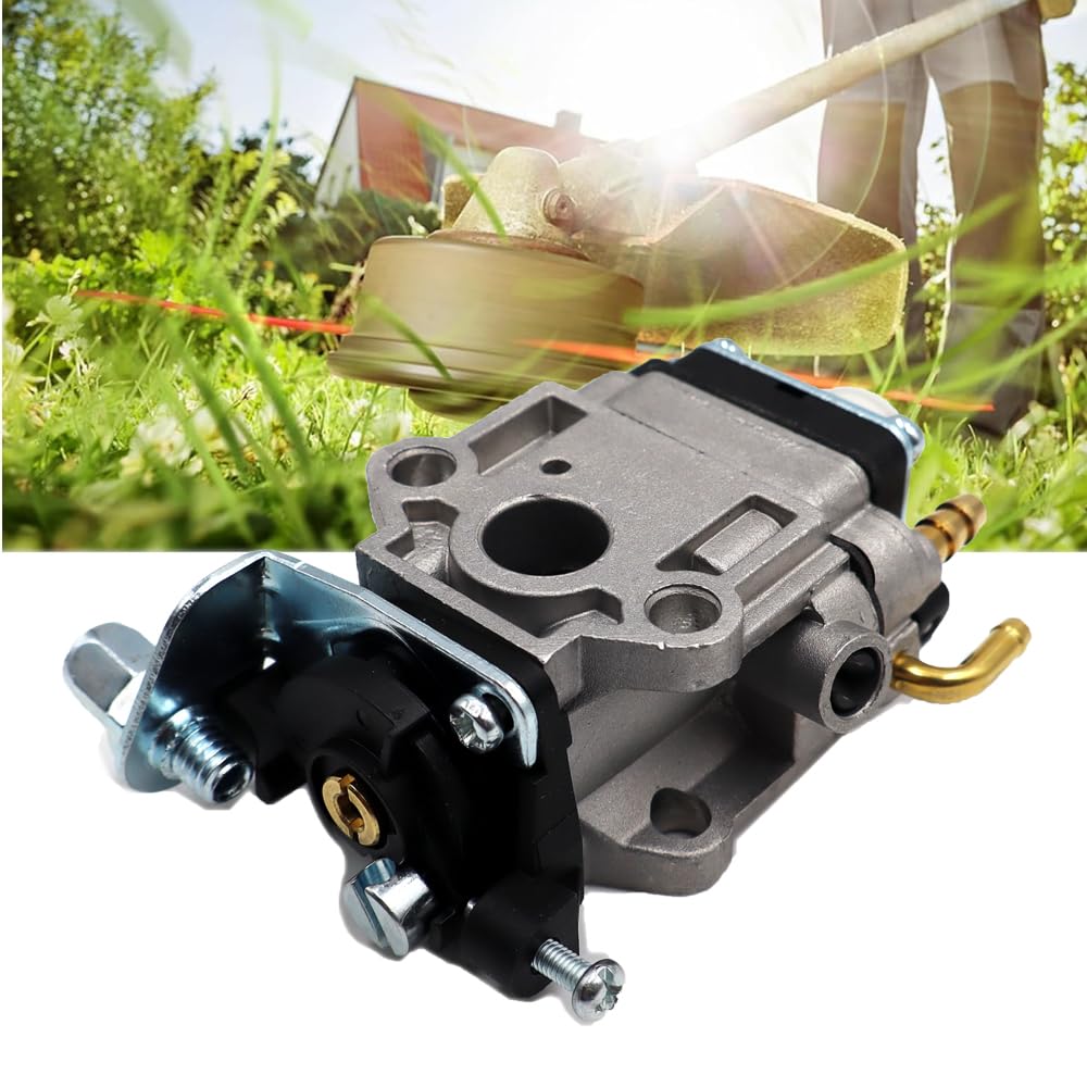 Amazon.com: LIZAPUS Carburetor Carb Compatible with 15003-2724