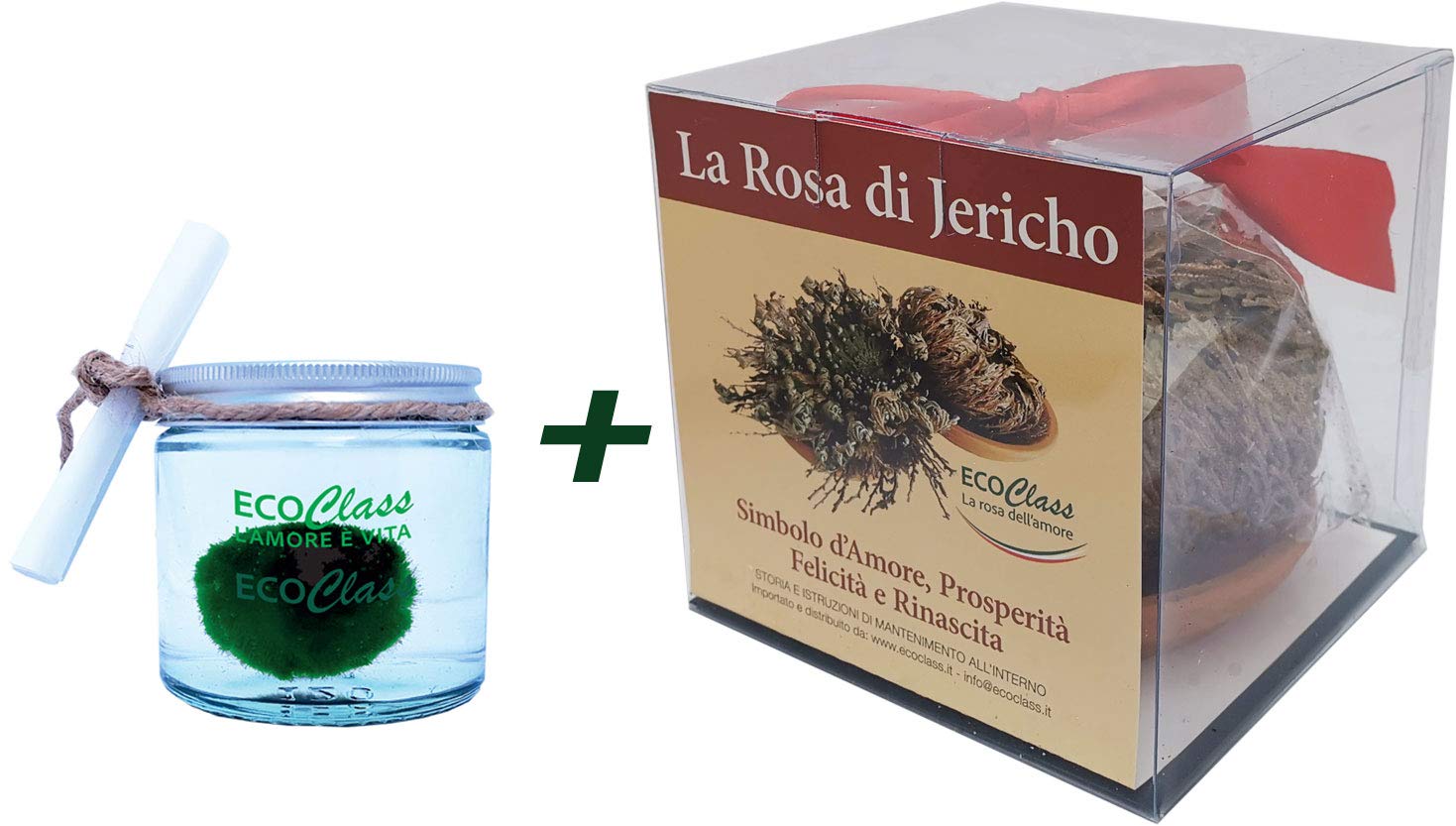 Rose of Jericho and Marimo