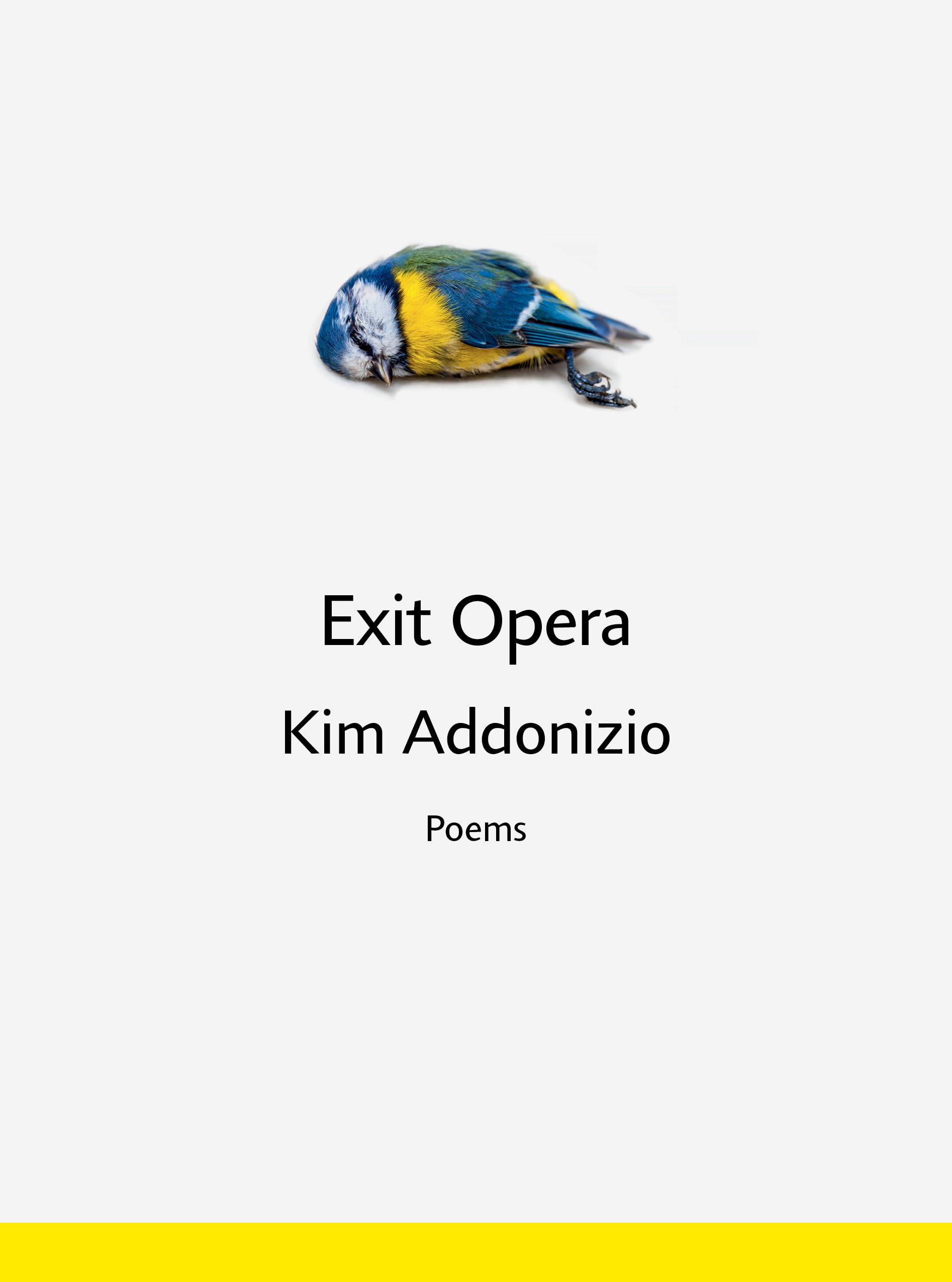 Exit Opera – Poems Poems by Kim Addonizio (Hardback Book)
