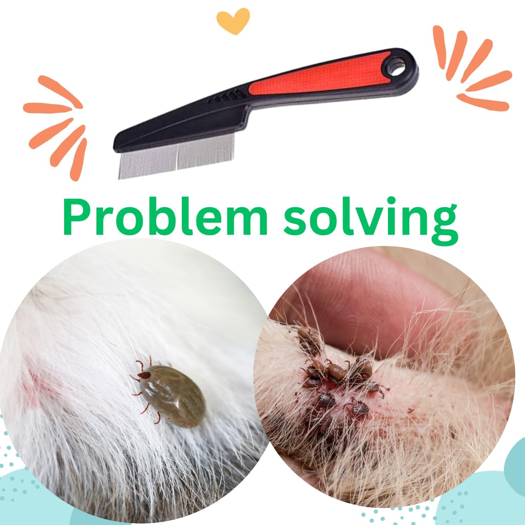 Pet Flea Comb for Dog, Cat, Birds and Rabbit | Stainless Steel Fine Tooth Flea Lice Tear Stain Remover Comb | Hair Nit Comb for Head Nit Treatment Removes Head Nits (Large) 1