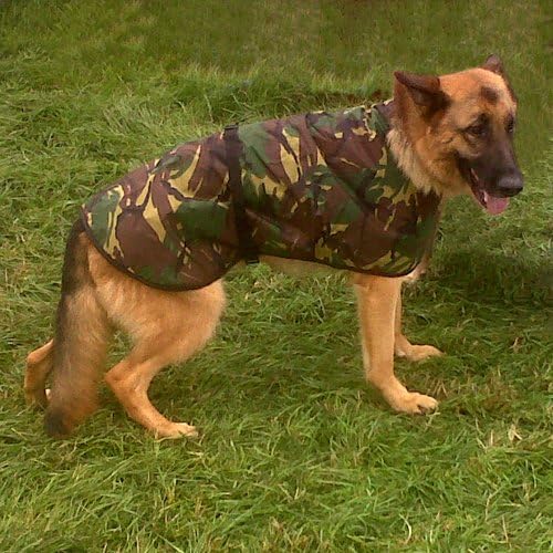 The"Forester" dog coat from the camouflage range.