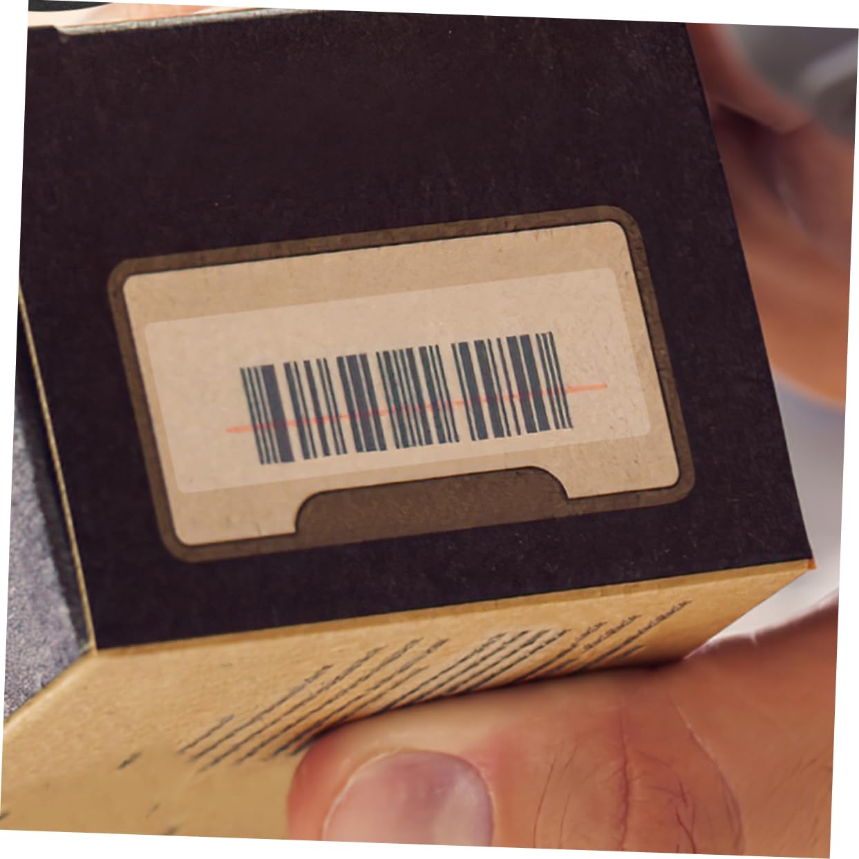 Lurrose 5 Di Etichette Adesive Per Il Dorso Dei Libri Della Biblioteca Etichette Adesive Per Aule E Biblioteche