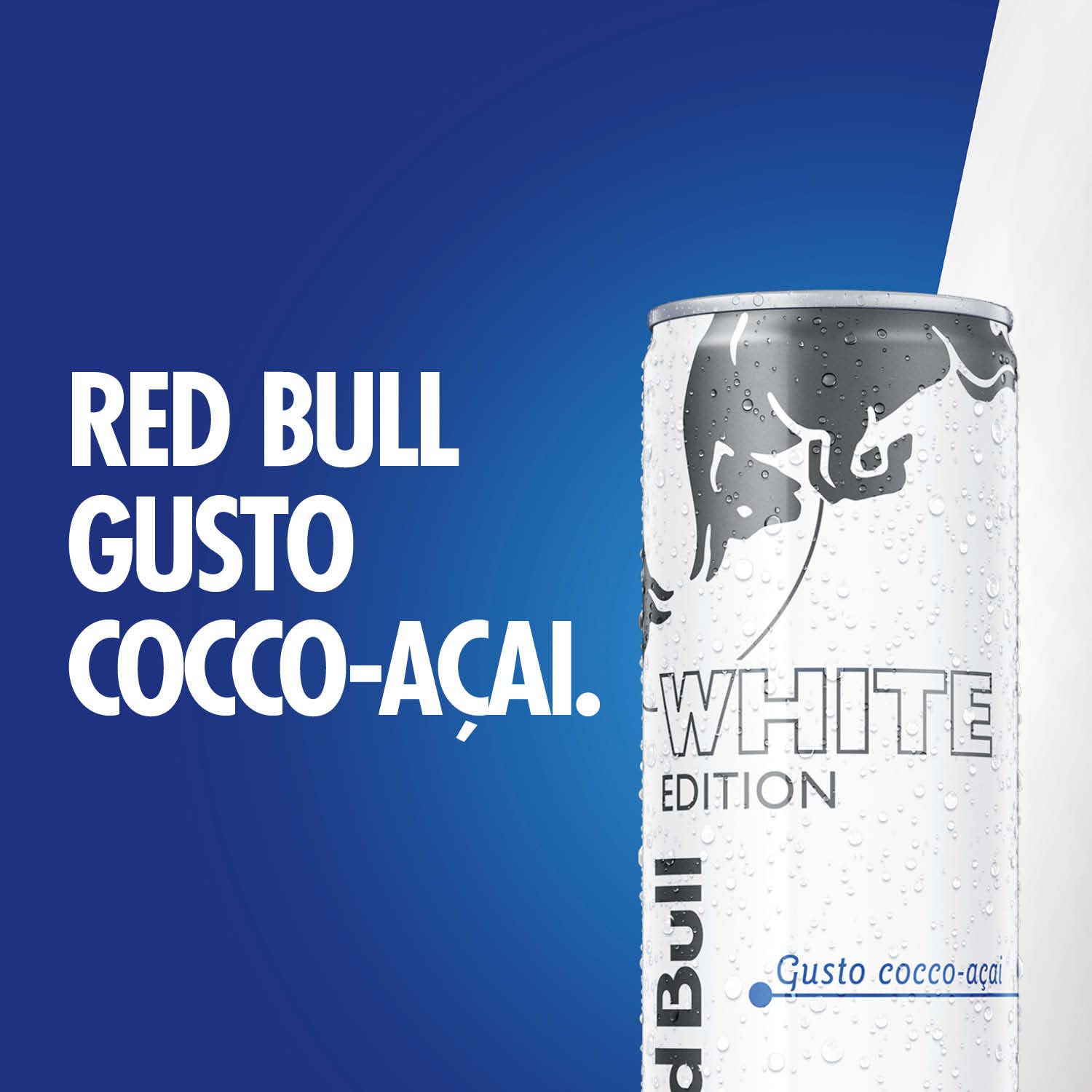 Red Bull Energy Drink, Gusto Cocco-Açaí, 250 ml (24 Lattine)