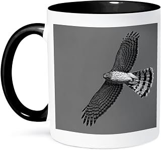 3dRose Photograph of Coopers Hawk in flight in search of its next meal. 11oz Two-Tone Black Mug