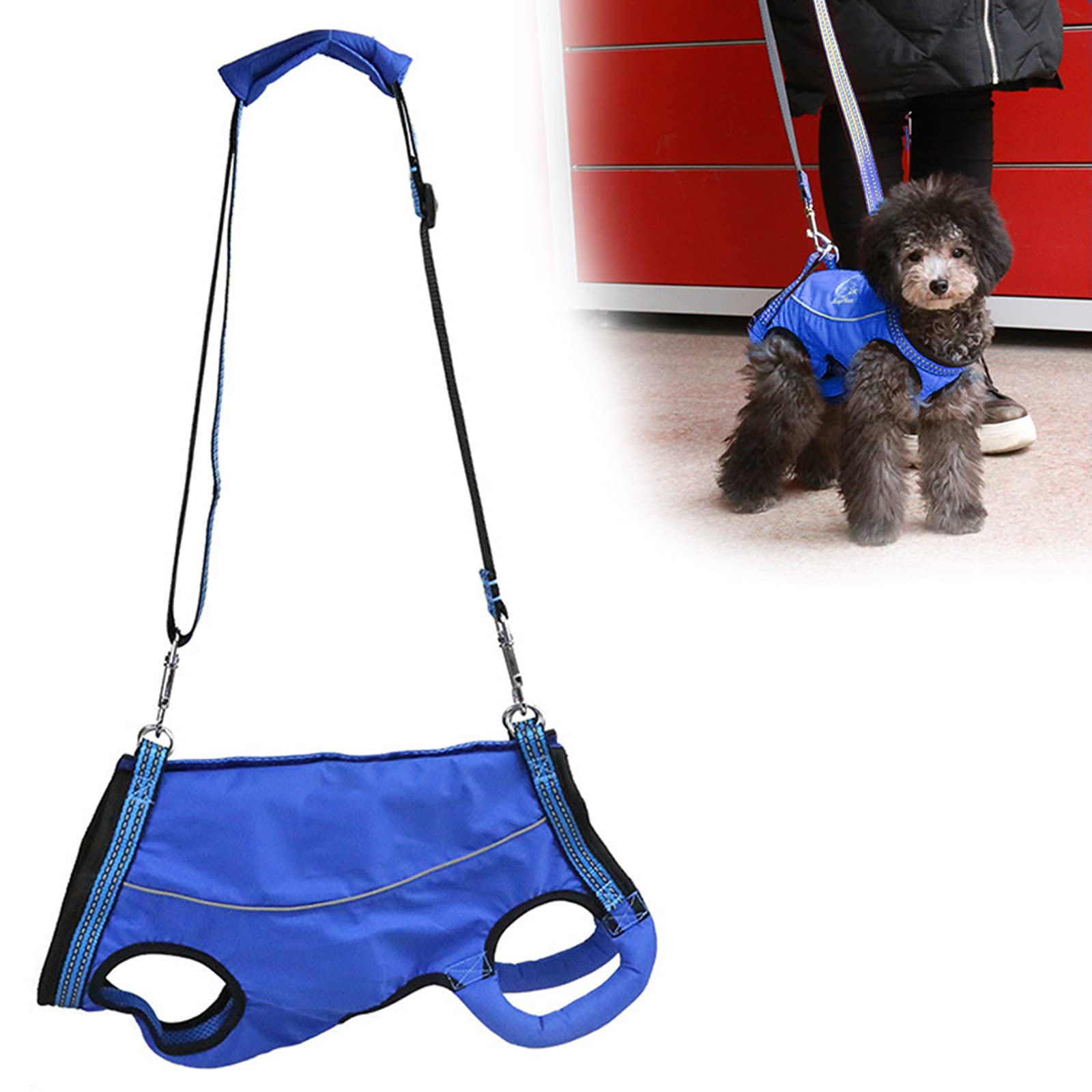 Buy PJDDP Dog Lift Harness for Front And Rear Legs, Full Body Support