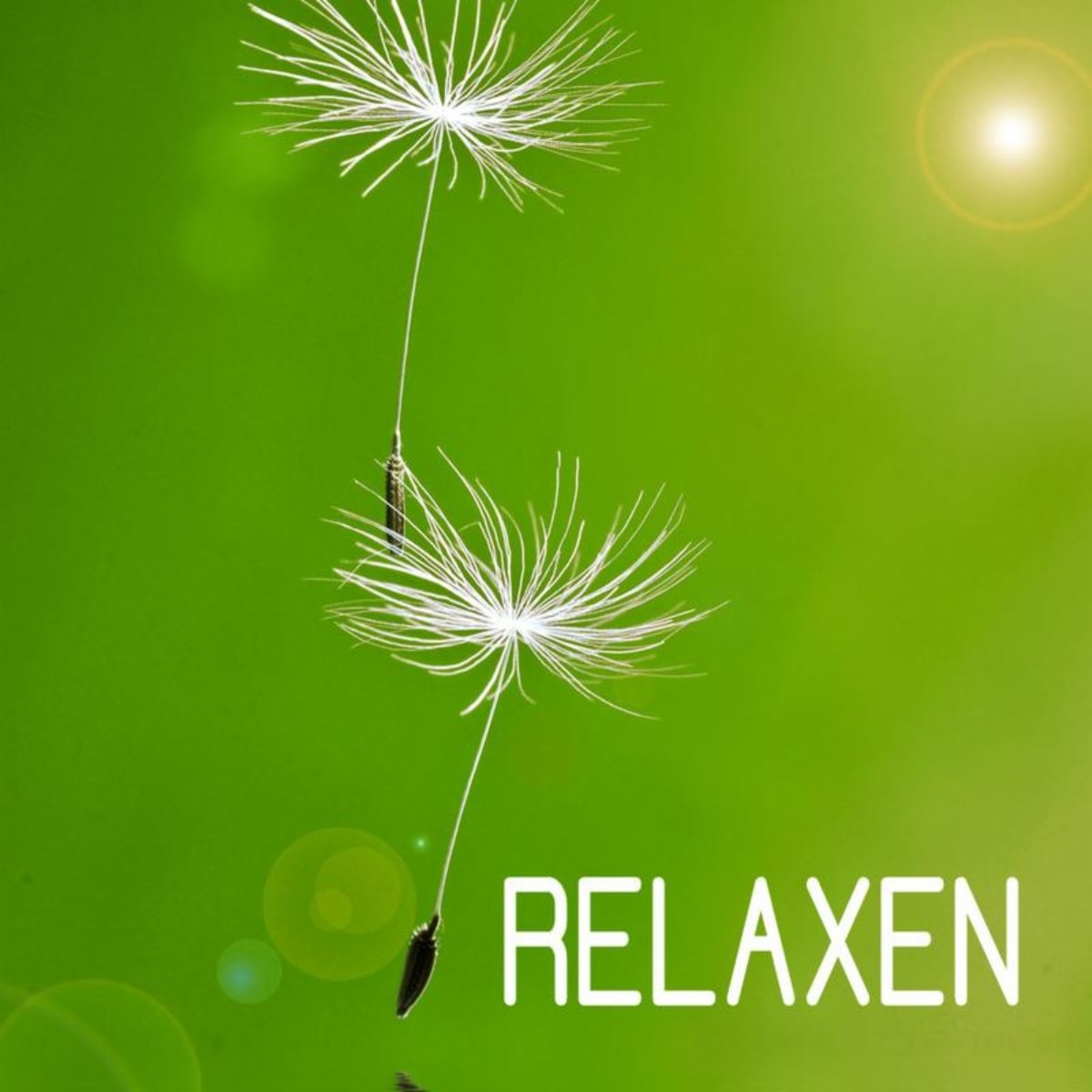 Relaxen Specialists