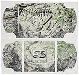 デザスキン イース PSP3000 06