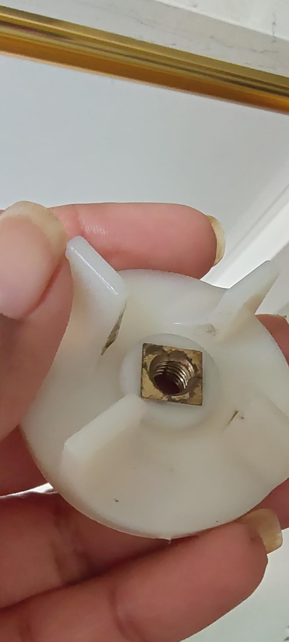 Buy Preethi MGA504 Stainless Steel Genie Jar for Eco Twin, Plus/Chef