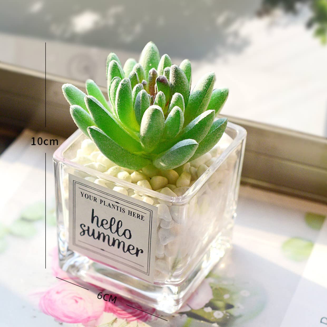 Amazon｜HGJH 人工多肉植物 フェイクグリーン フラワー8 ミニ 本物
