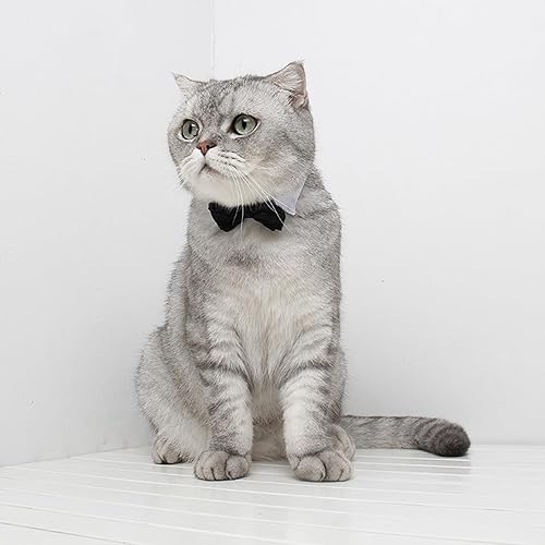 Miniatura 7 de Corbata de cuello ajustable formal para mascotas para perros y gatos, disfraces de aseo de boda (S, negro)