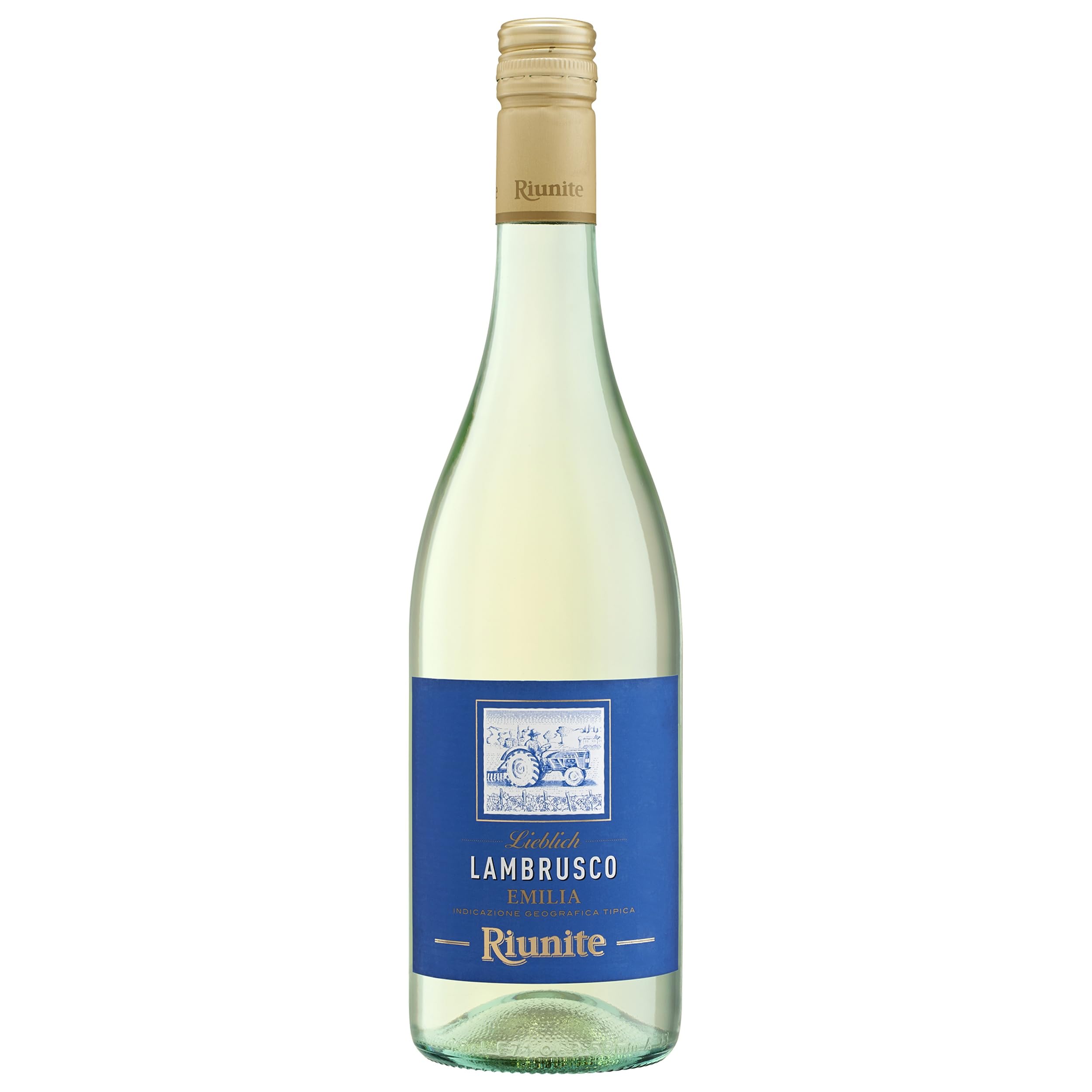 Cantine Riunite Lambrusco Emilia Bianco IGT Sekt Weiss Lieblich Italien inkl. FeinWert E-Book (12 x 0.75 l)