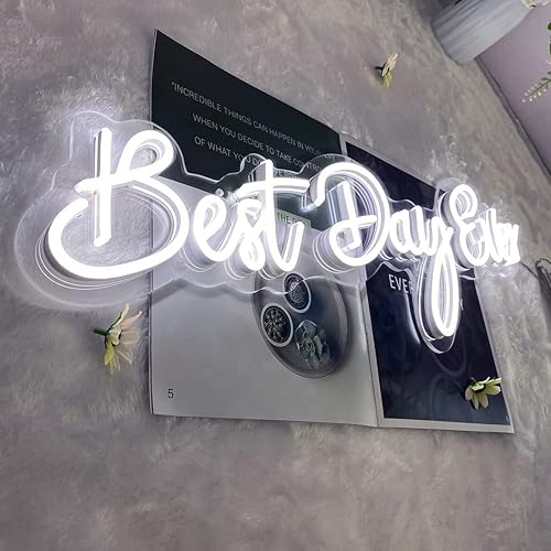 Miniatura 4 de SYLHOME Letreros de luz LED de neón de 12 V Best Day Ever de 26 x 8 pulgadas propuesta de boda aniversario fiesta cumpleaños arte decoración de