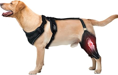 Rodillera ajustable para perro para ambas patas traseras, soporte de AclCcl y alivio de rótula luxante, soporte de lesiones de ligamento cruzado con