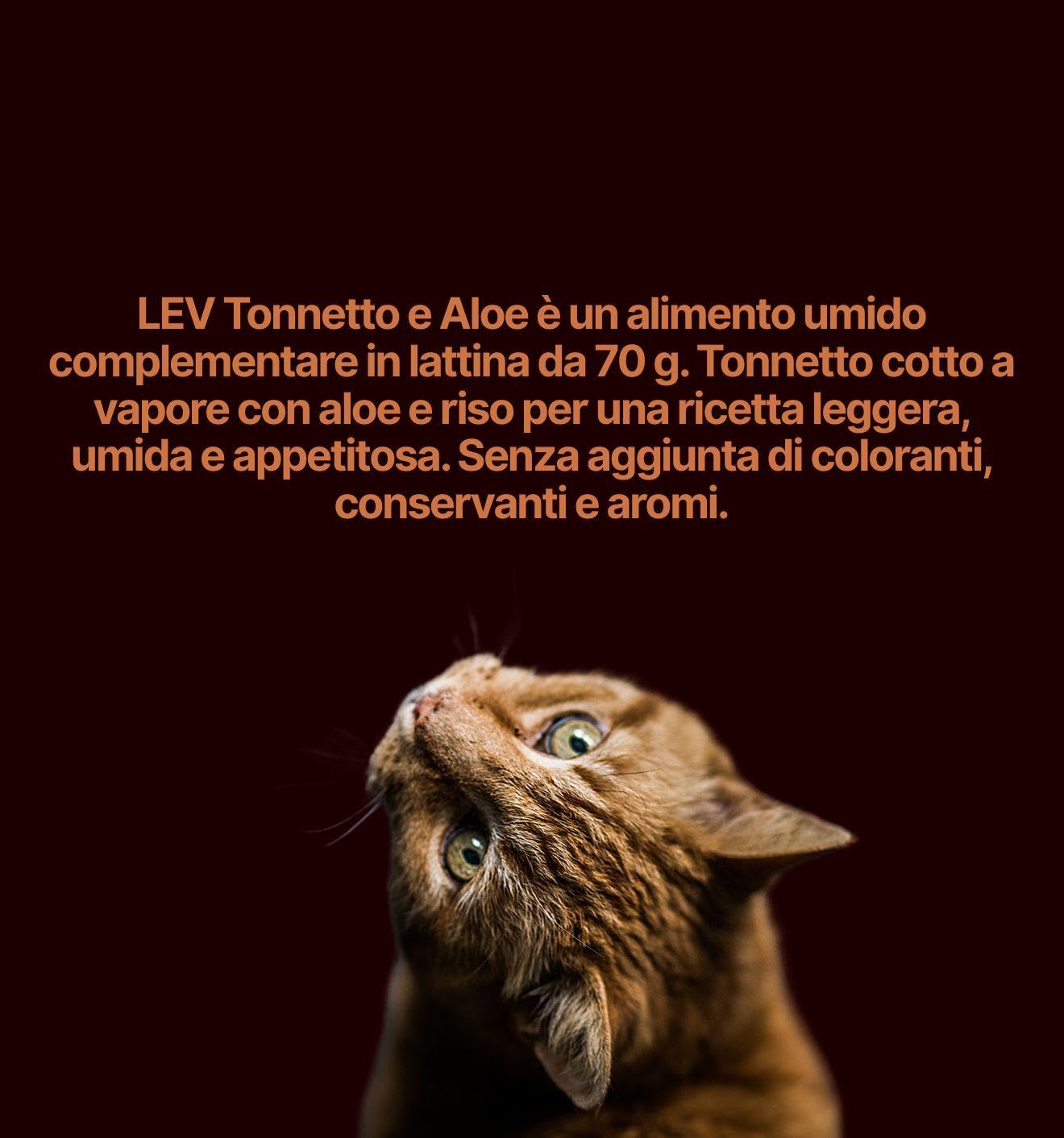Lev - Desfilador húmedo para gatos adultos de atún y aloe, alimento complementario para gatos adultos de todas las tallas y razas, sabor atún y aloe, 12 latas de 70 gramos cada una.