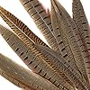 Pheasant Tail Feather Craft Supplies - 8-14" Golden Brown Natural Home Decor 10pcs #3