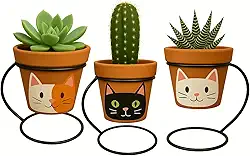 Kit Vasos Artesanais em Barro com Pintura à Mão – Suporte Moderno Incluso