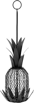 Achal Designs Pineapple Birdfeeder