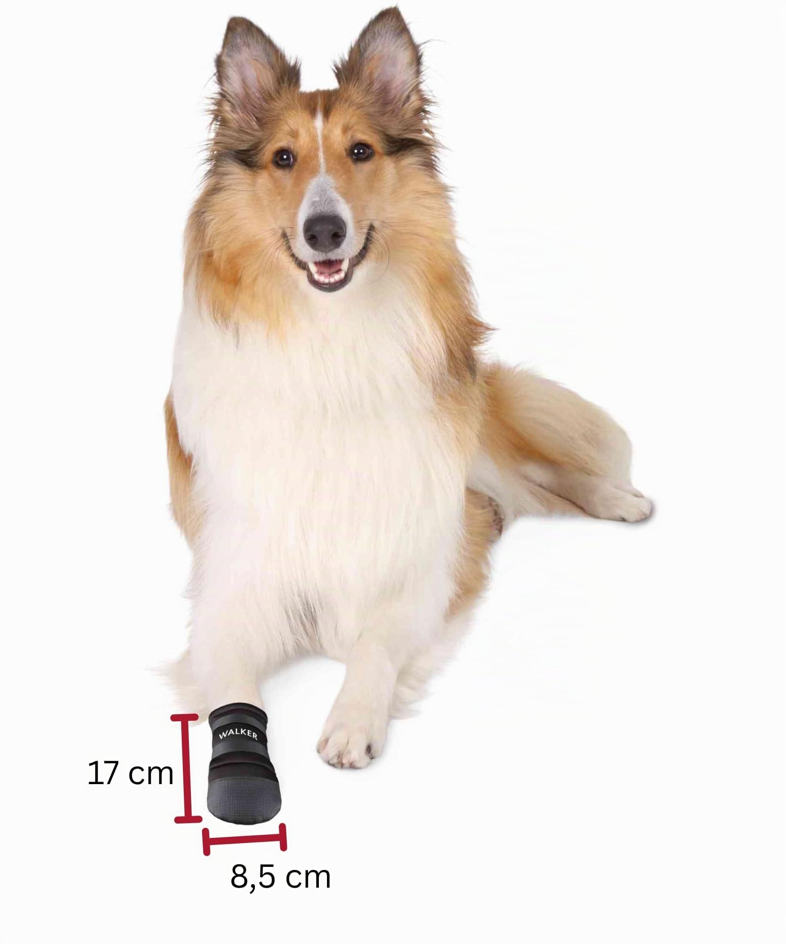 TRIXIE chaussures Walker pour pattes de chien - Protection outdoor pour pattes blessées ou sensibles - L, chaussures pour chien avec semelle vinyle & 2 velcros pour maintien sûr