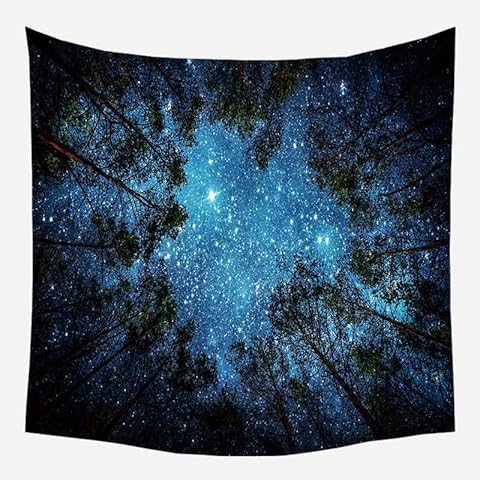 EHOMERY Wall Covering Outdoor Trippy Tapestry For Stoners Blue Forest Starry Sky Quotes Funny Small Bedroom Hanging Blanket Living Room Art Décor 200X200Cm Cover